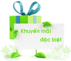 co-vi-pham-hanh-vi-khuyen-mai